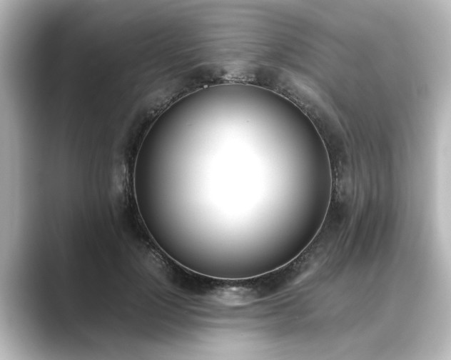 X0000089400748200706221117