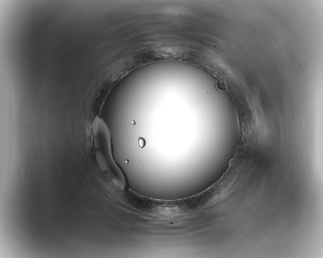 X0000089400749200706221117