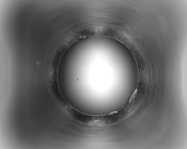 X0000089400750200706221117