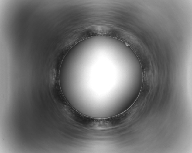 X0000089400752200706221117