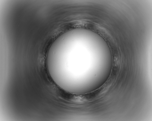 X0000089400753200706221117