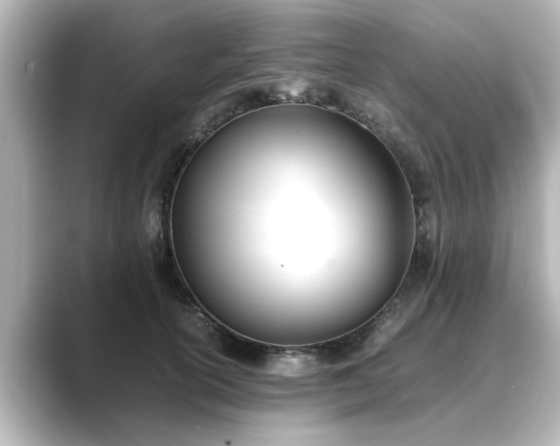 X0000089400754200706221117