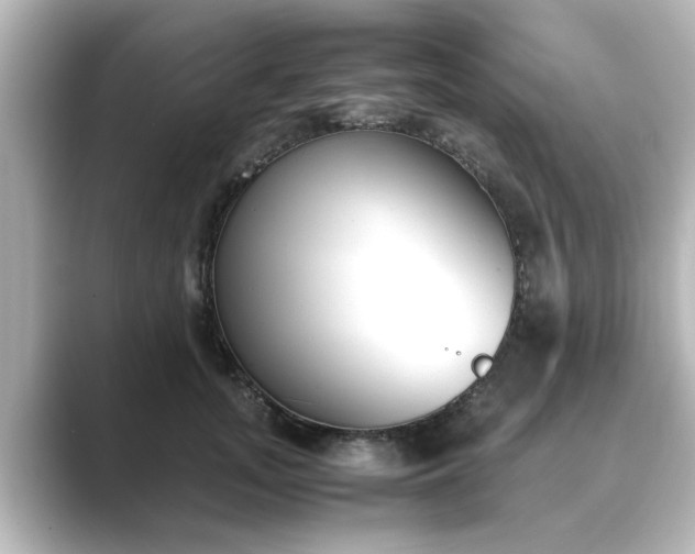 X0000089400755200706221117