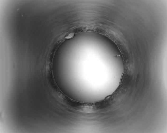 X0000089400756200706221117