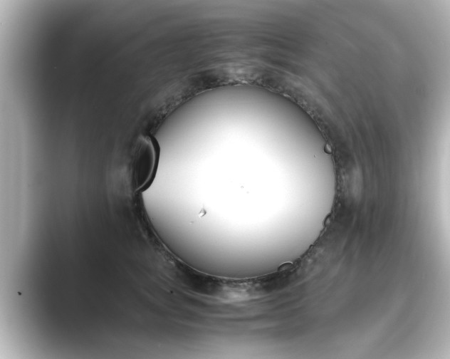 X0000089400757200706221117