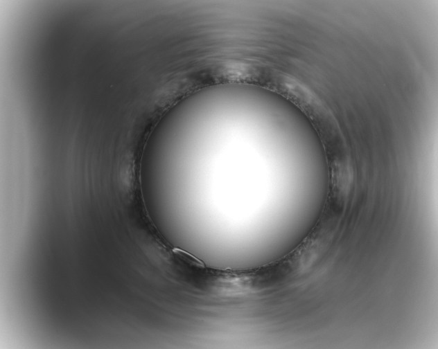 X0000089400760200706221117