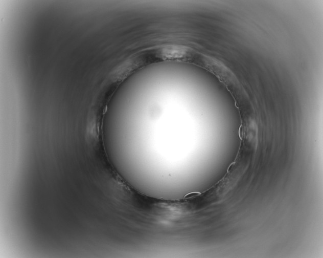 X0000089400763200706221117