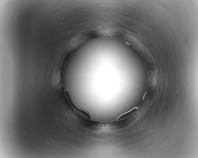 X0000089400764200706221117