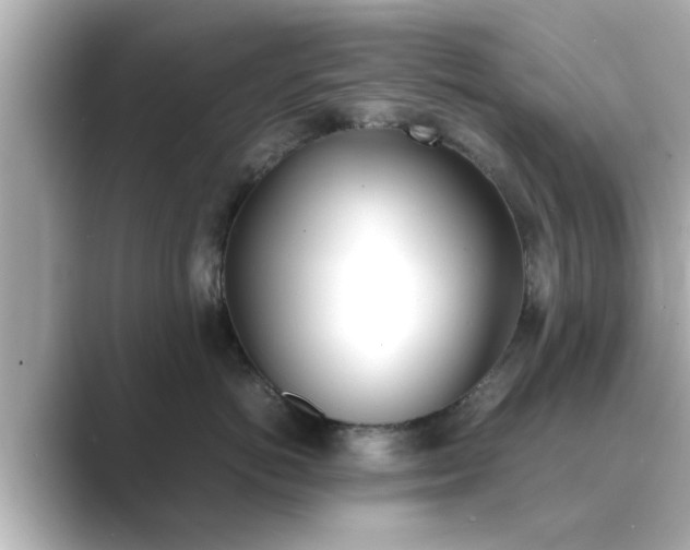 X0000089400766200706221117