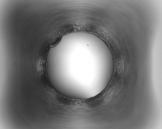 X0000089400770200706221117