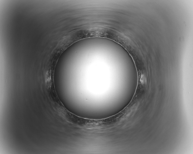 X0000089400771200706221117