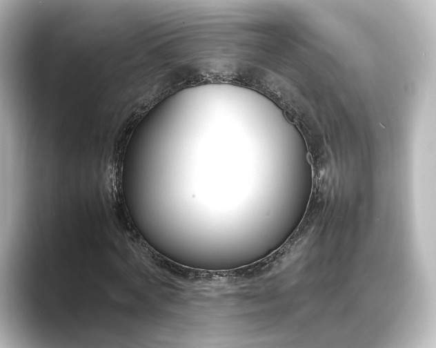 X0000089400772200706221117