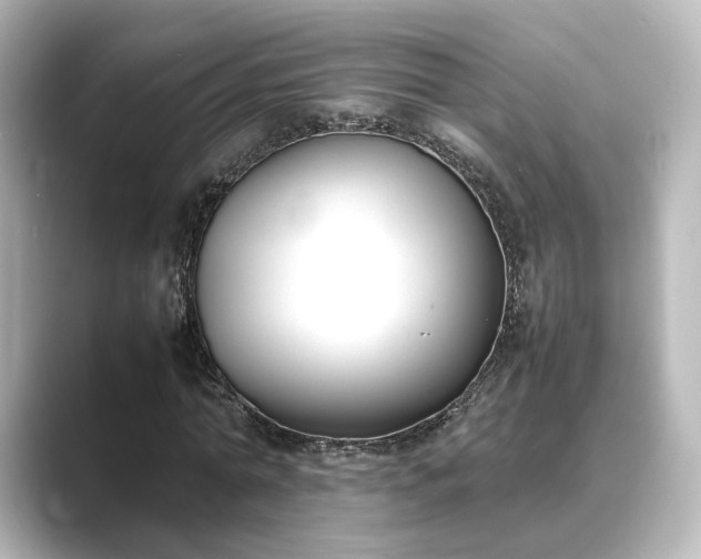 X0000089400774200706221117