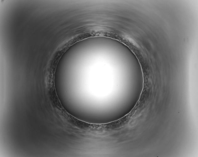 X0000089400775200706221117