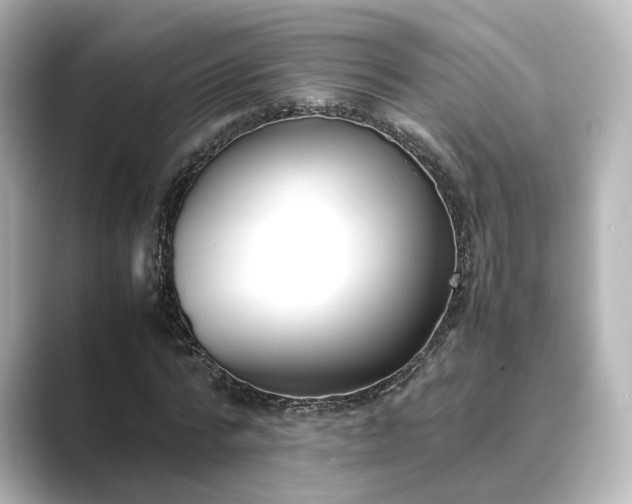 X0000089400776200706221117