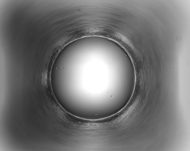 X0000089400777200706221117