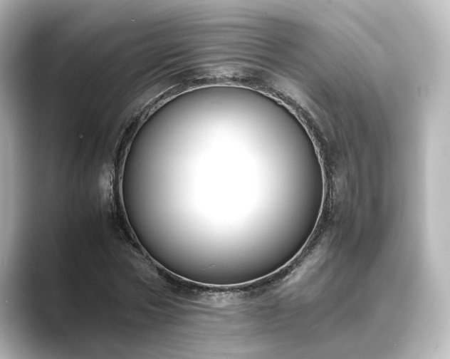 X0000089400778200706221117