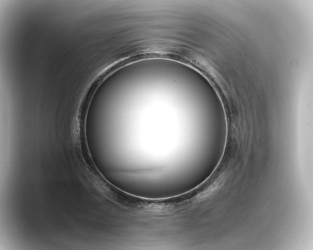 X0000089400779200706221117