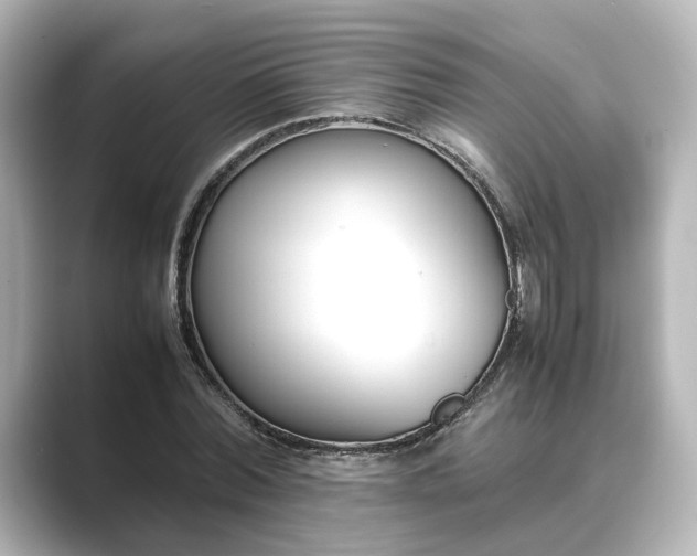 X0000089400780200706221117