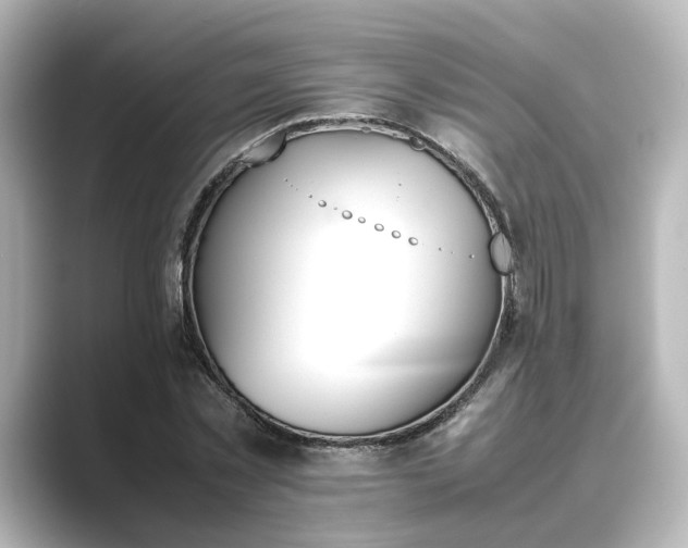 X0000089400781200706221117