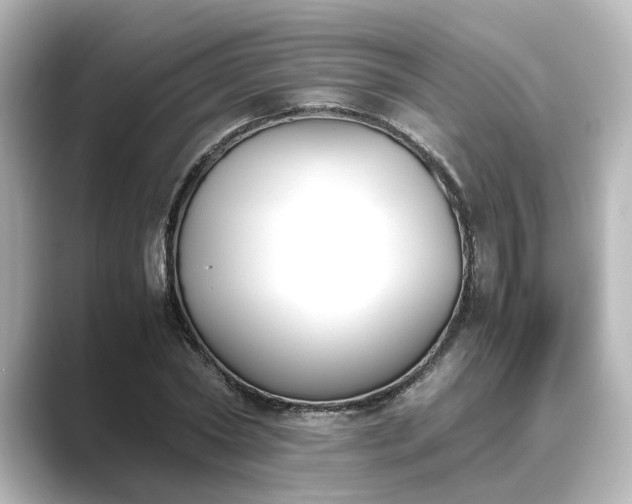 X0000089400782200706221117