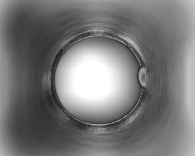 X0000089400783200706221117