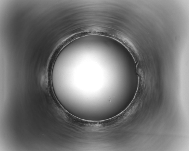 X0000089400784200706221117