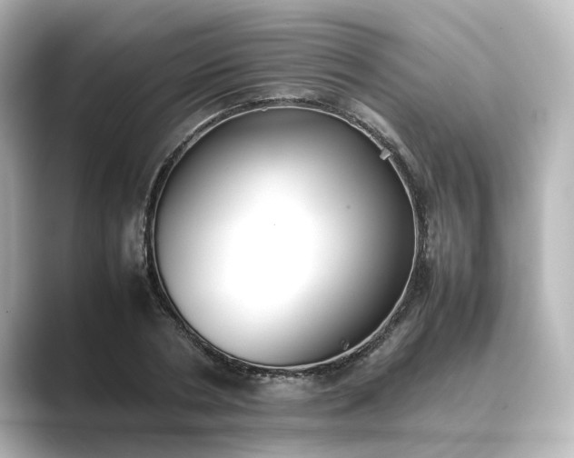 X0000089400786200706221116