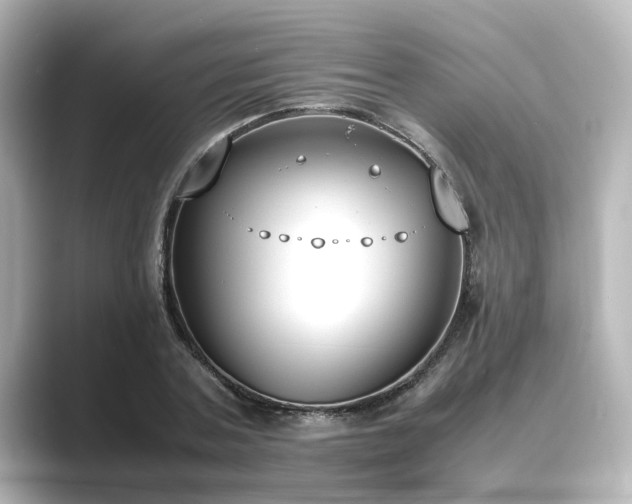 X0000089400787200706221116