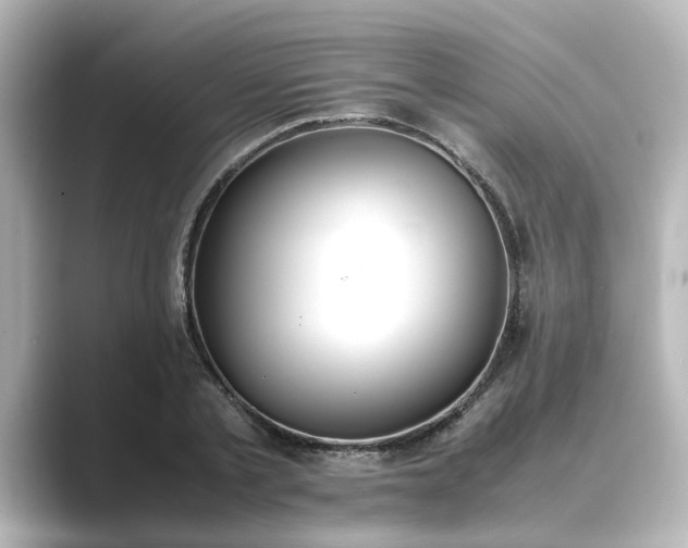 X0000089400789200706221116