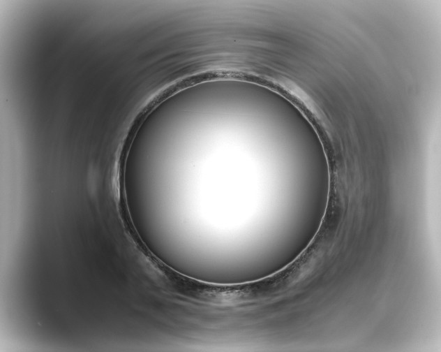 X0000089400791200706221116