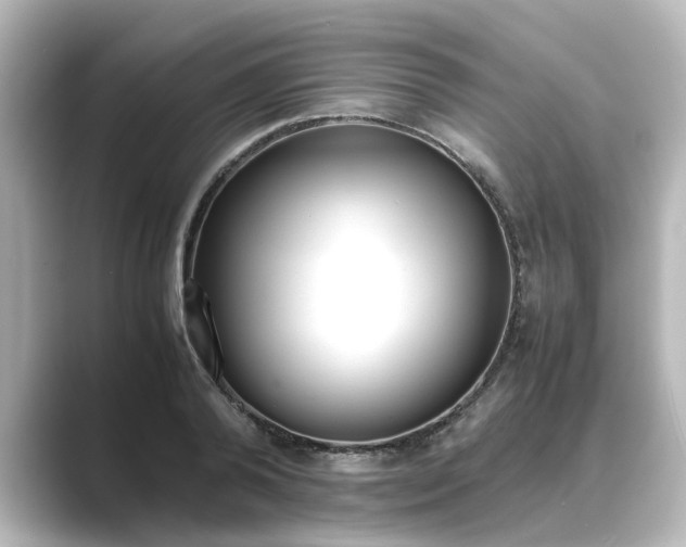 X0000089400792200706221116