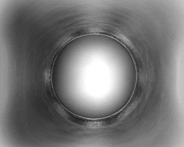 X0000089400793200706221116