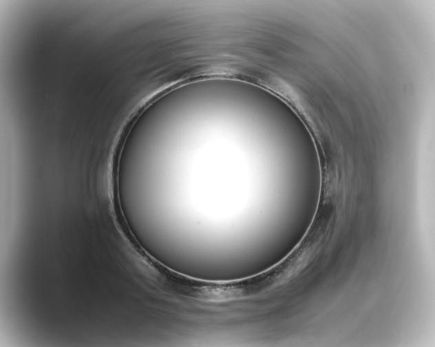 X0000089400795200706221116