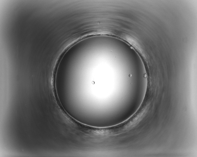 X0000089400797200706221116