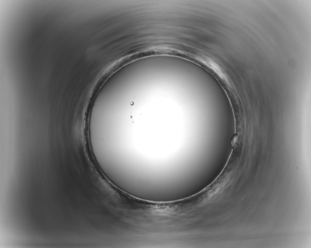 X0000089400799200706221116