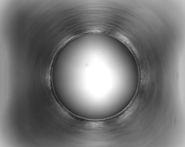 X0000089400802200706221116