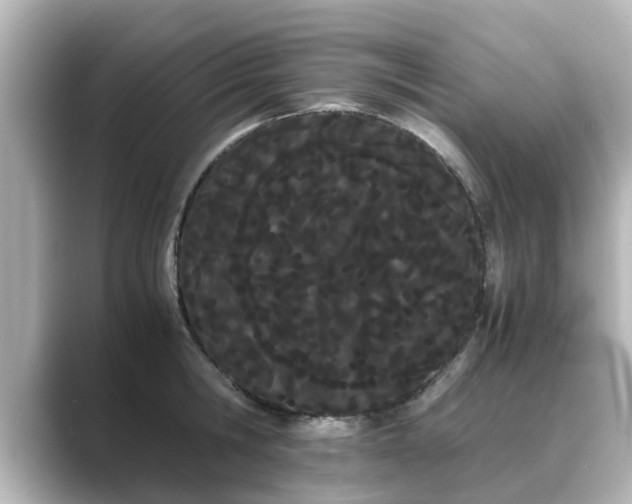 X0000089400806200706221116