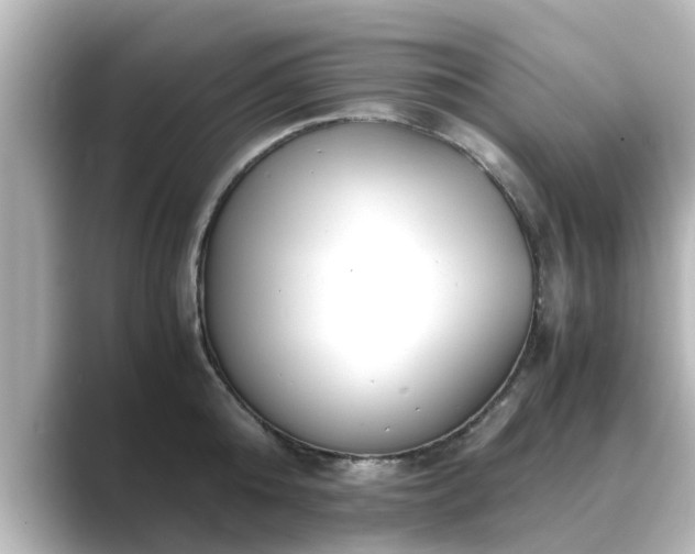 X0000089400808200706221116