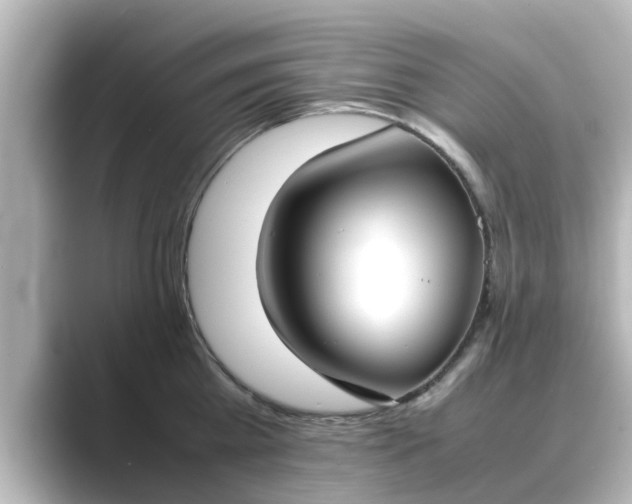 X0000089400809200706221116