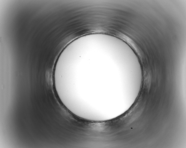 X0000089400810200706221116