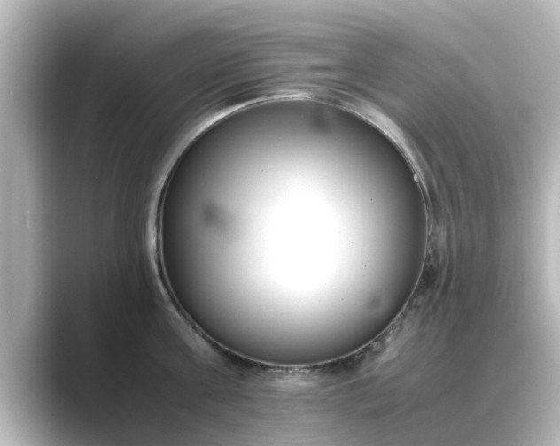 X0000089400811200706221116