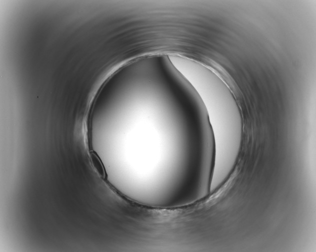 X0000089400812200706221116