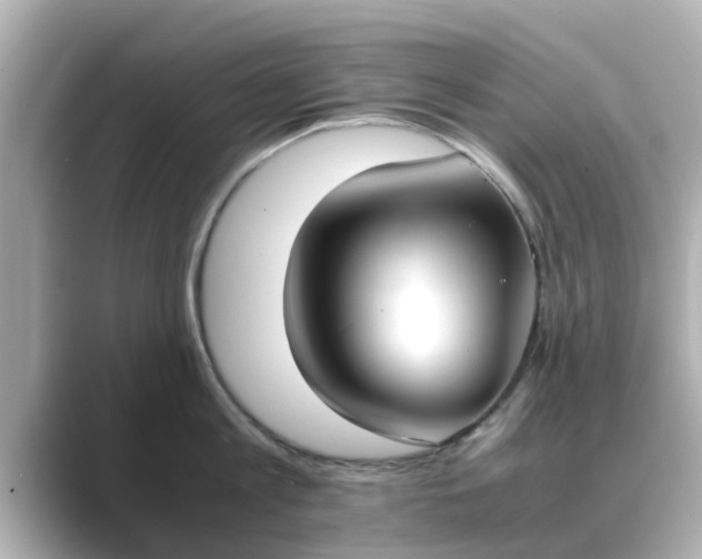 X0000089400813200706221116