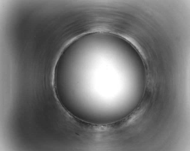 X0000089400815200706221116