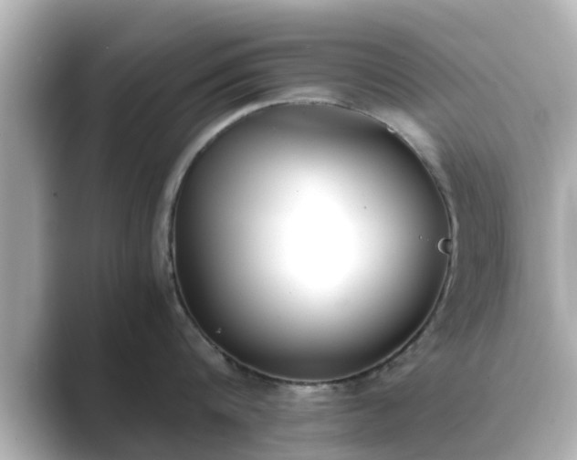 X0000089400816200706221116