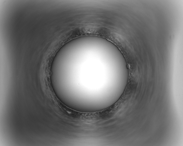 X0000089400817200706221116