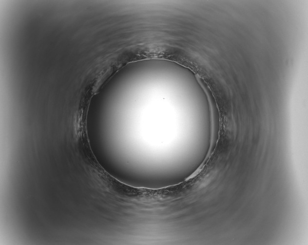 X0000089400818200706221116