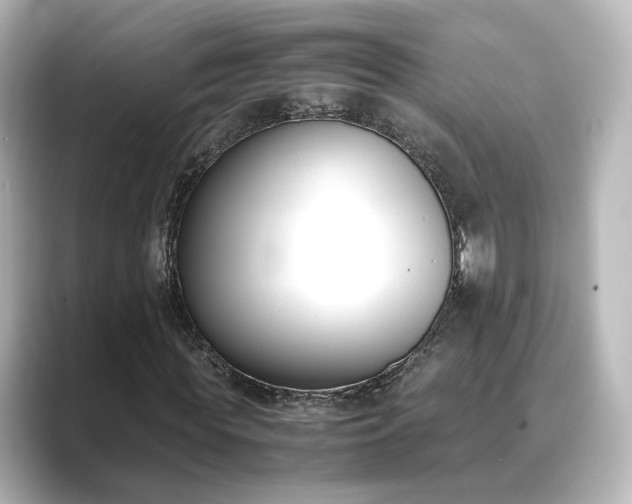 X0000089400819200706221116