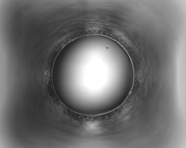 X0000089400821200706221116